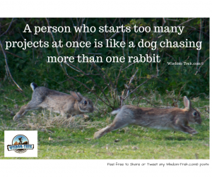 A person who starts too many projects at once is like a dog chasing more than one rabbit       